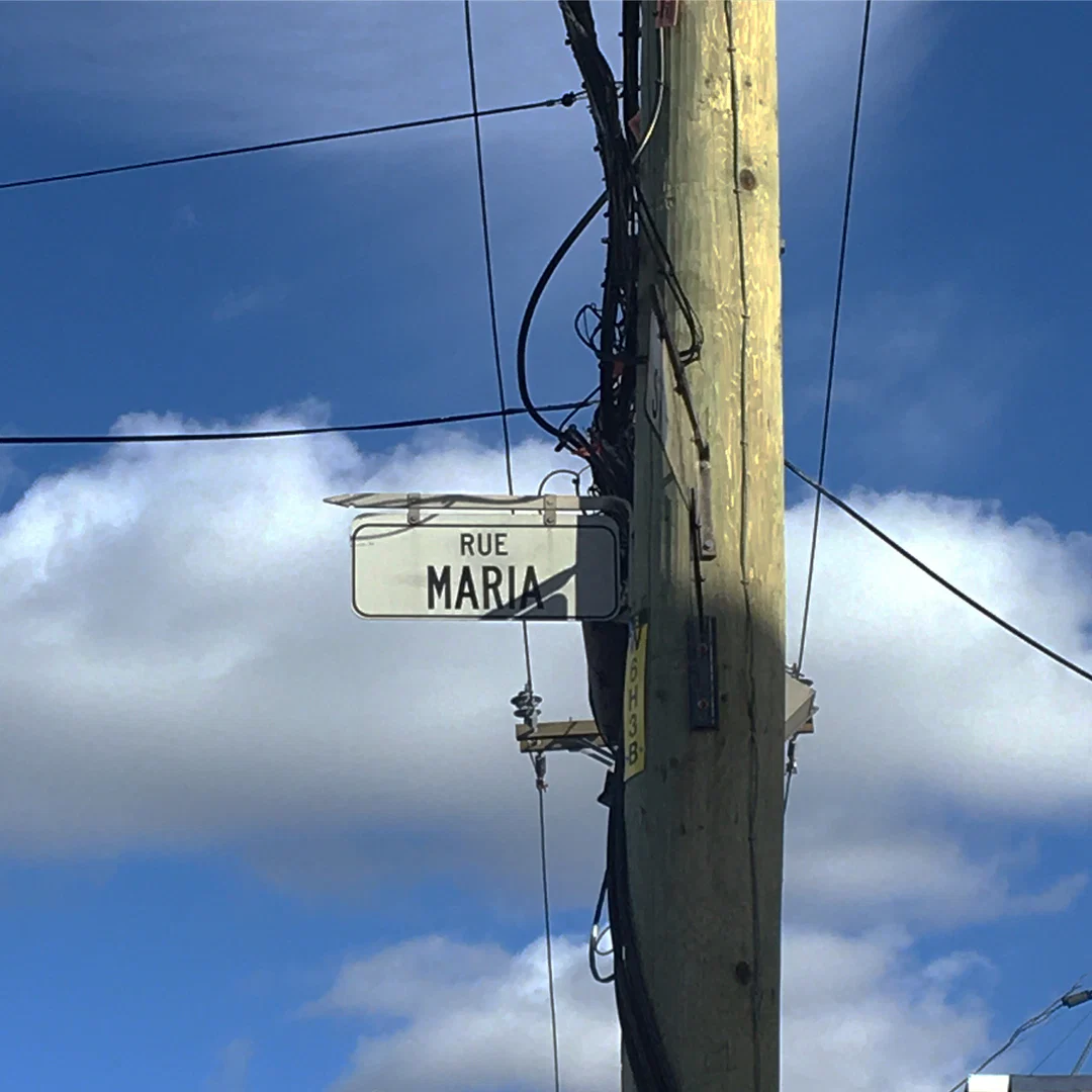u25741223 profile banner