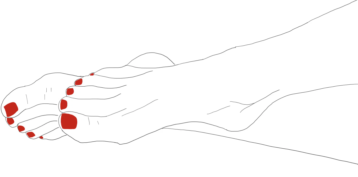 Victoria’s Feet profile banner