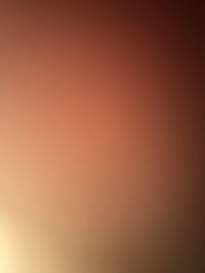 Joey profile banner