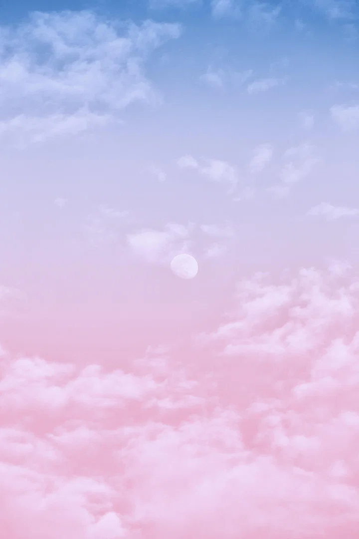 Trixie profile banner