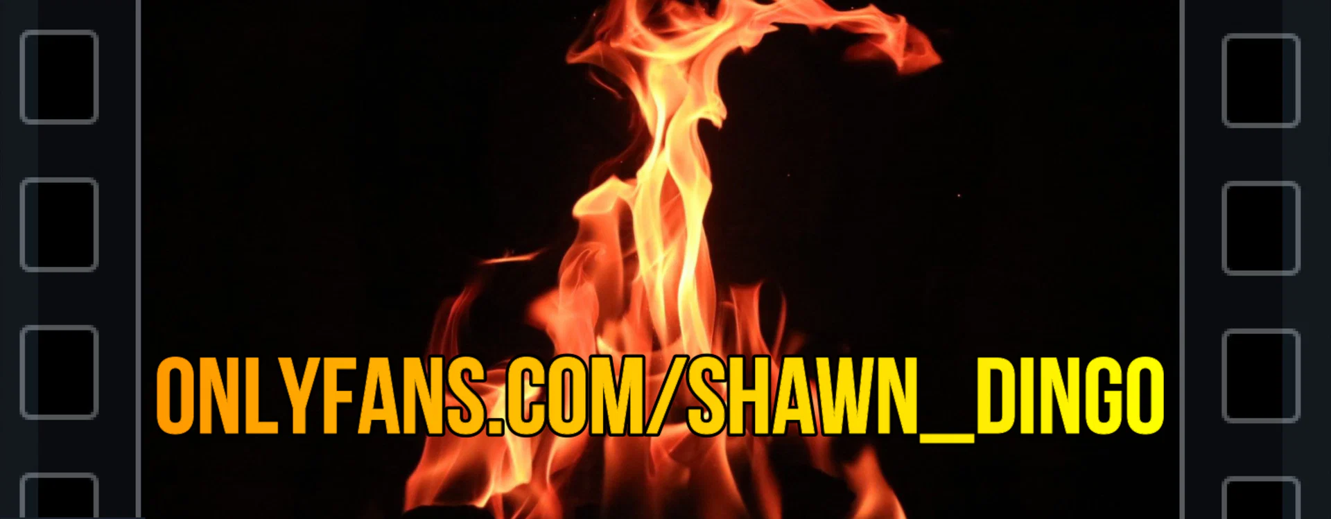 Shawn_Dingo profile banner