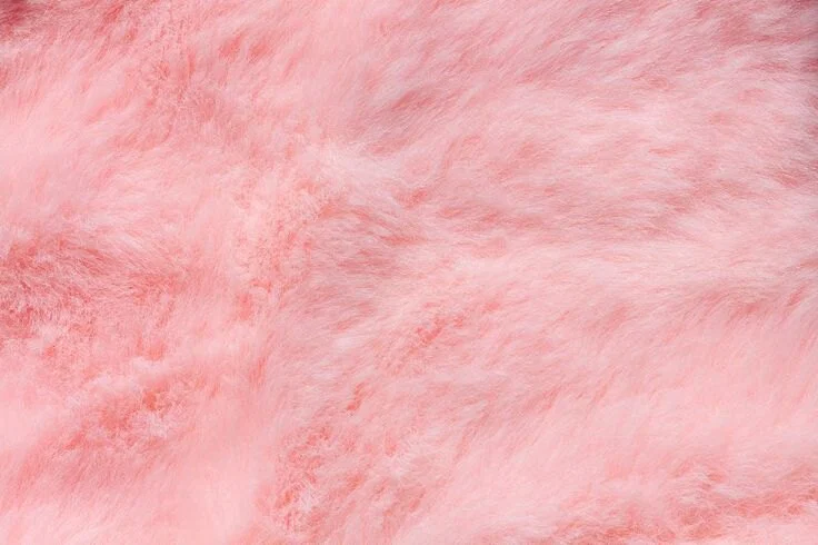 ๐๐๐๐๐๐๐๐ผ๐ผ๐๐ผ๐๐ ๐ ๐ profile banner
