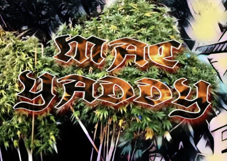 Mac Yaddy profile banner