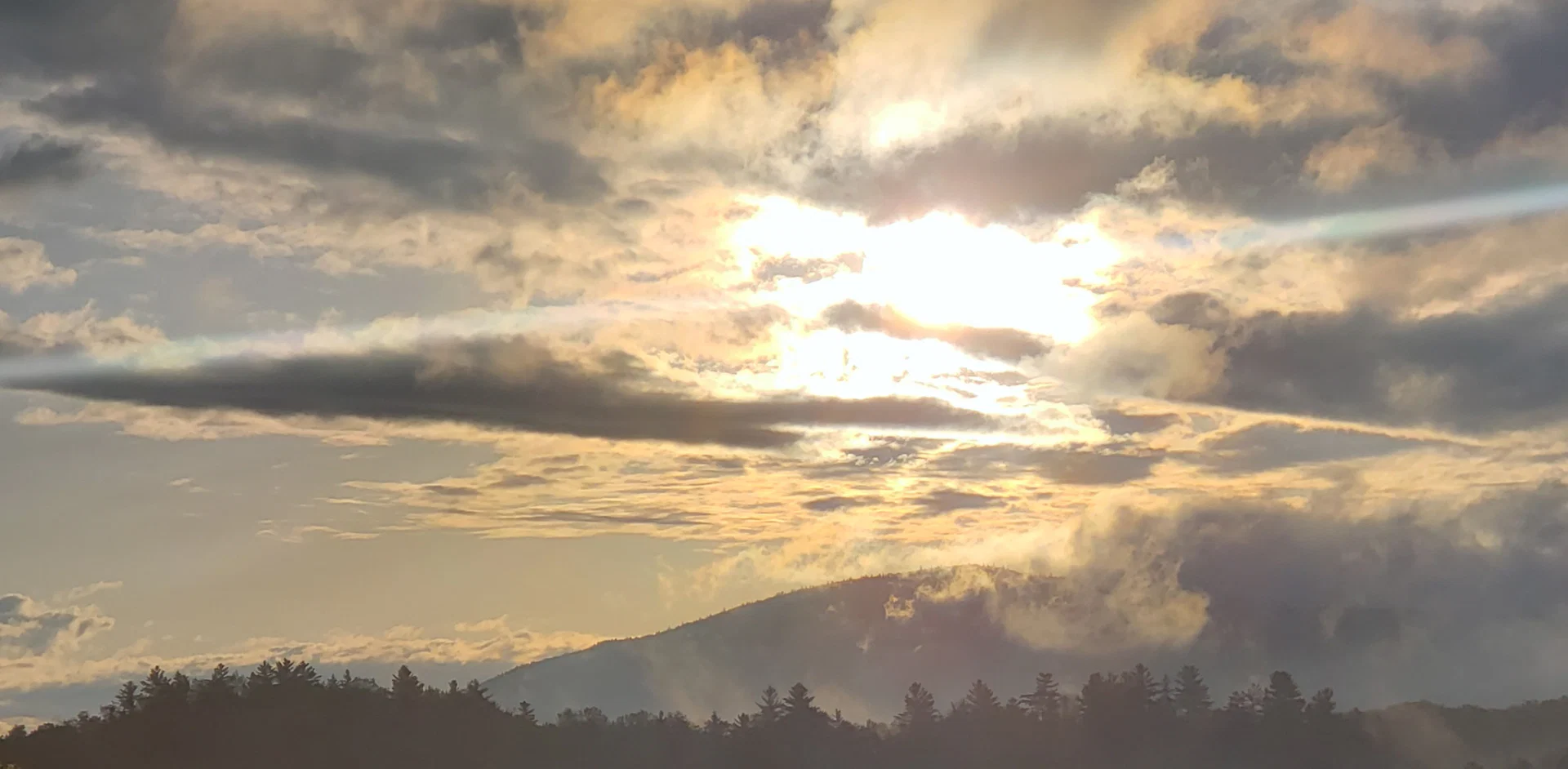 Adirondack Bear profile banner