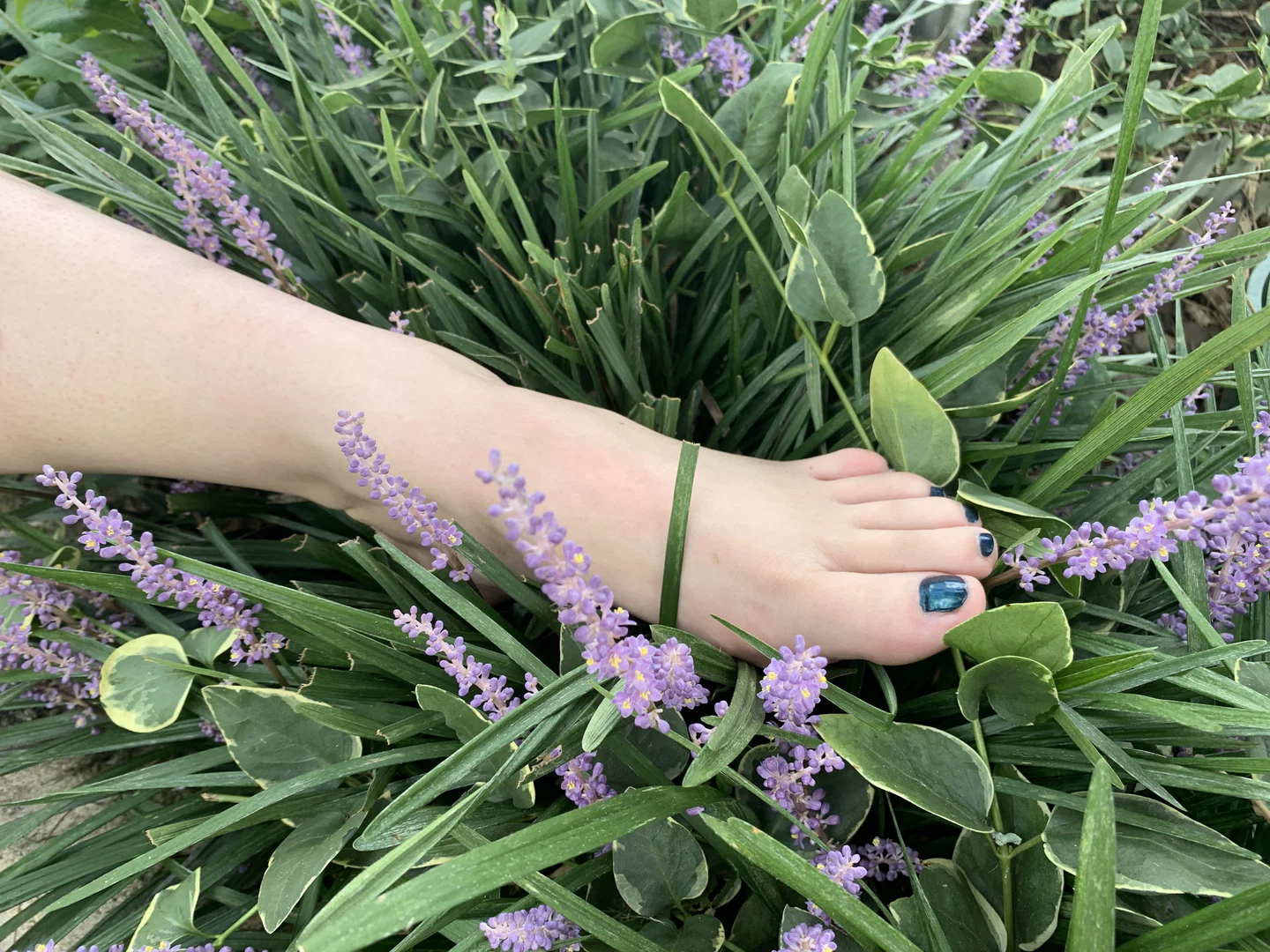 Rae's Two Left Feet profile banner