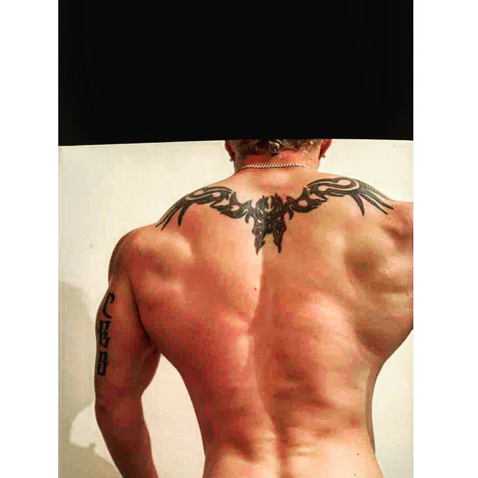 Vanilla Gorilla profile banner
