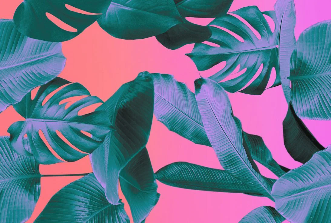 Ethan profile banner