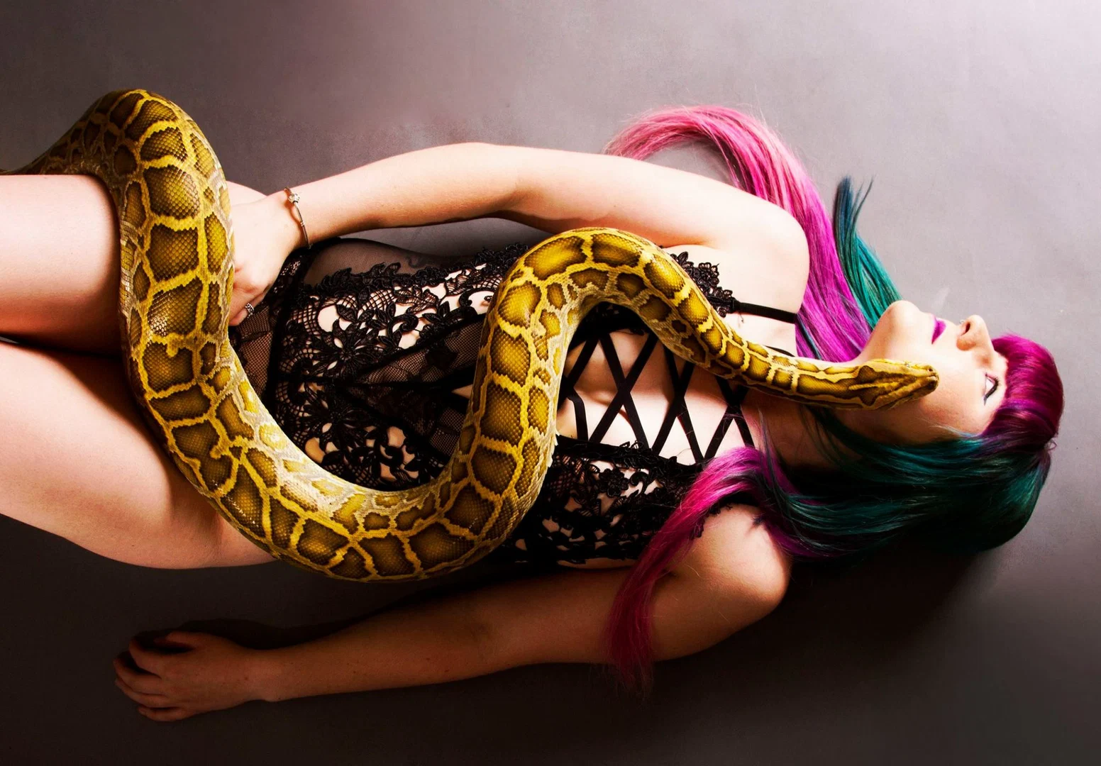 Kinky Kitten profile banner