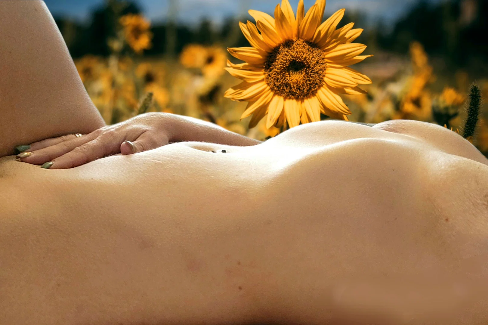 Sukie Rae profile banner