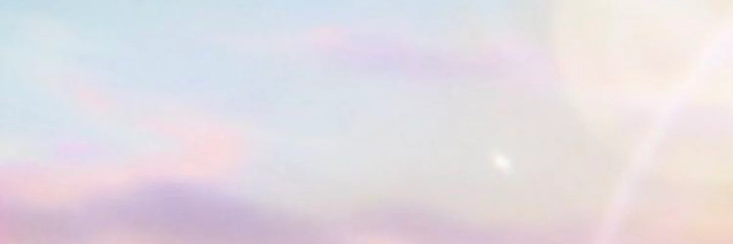 ani profile banner