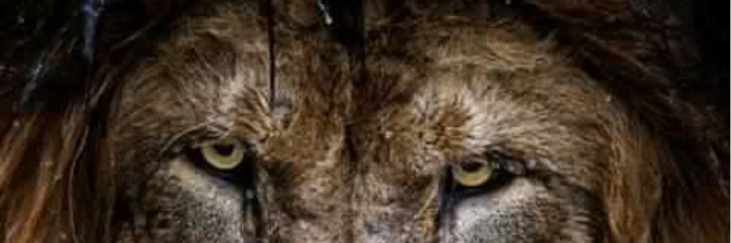 Earl Simms profile banner