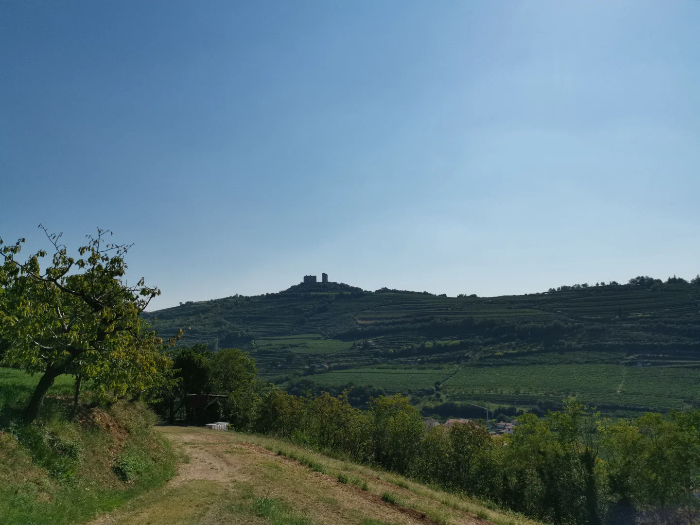 Giangi profile banner