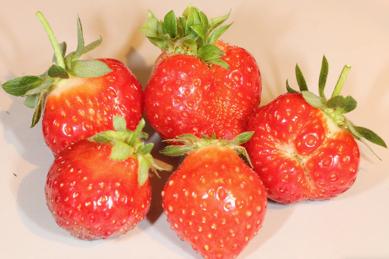 ShowerBerries profile banner