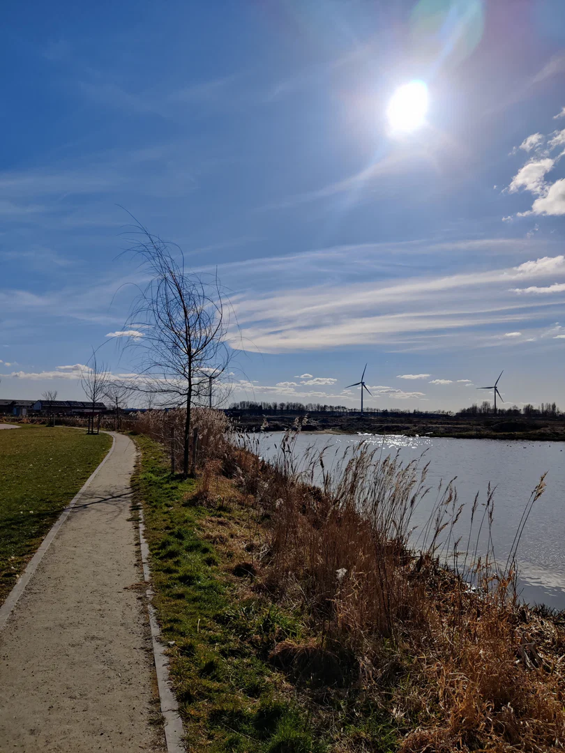 Roxi profile banner