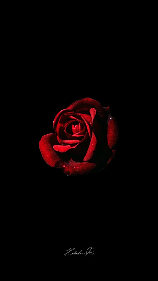 Arya Bryant profile banner