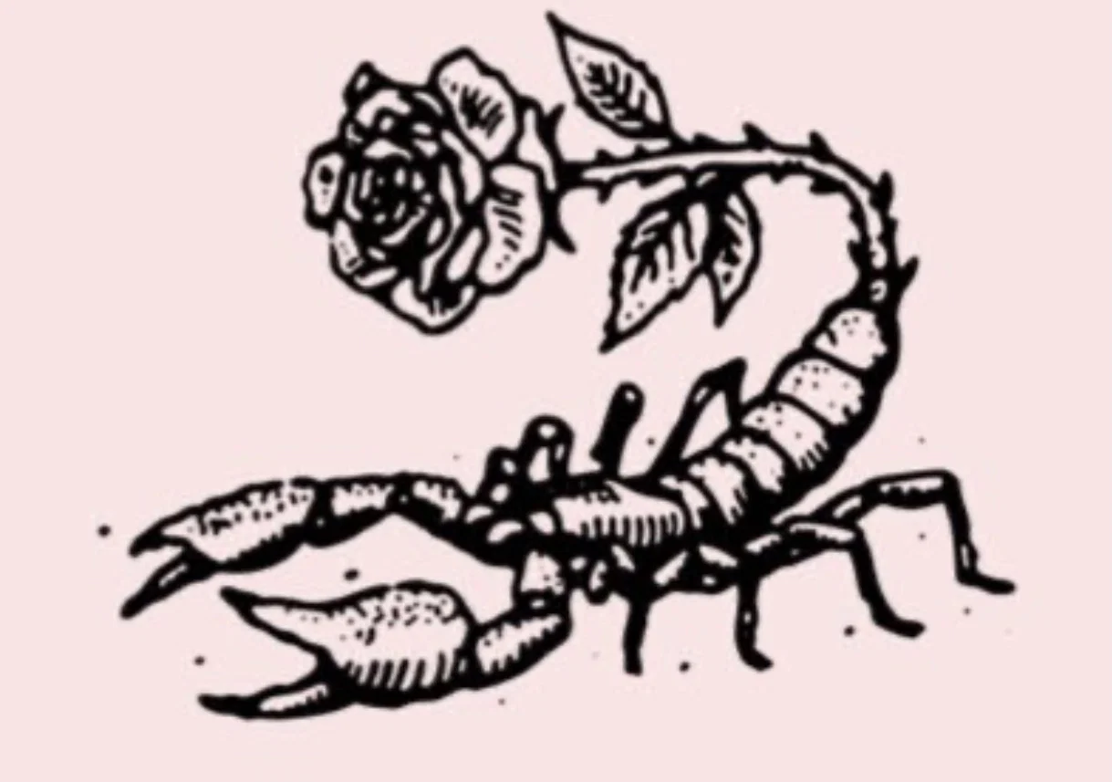Seductive Scorpio π€ profile banner