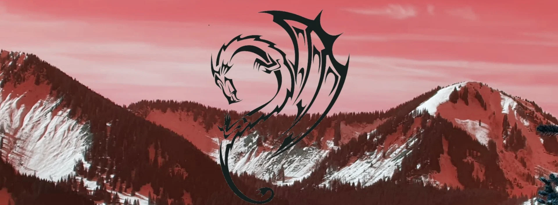 M profile banner