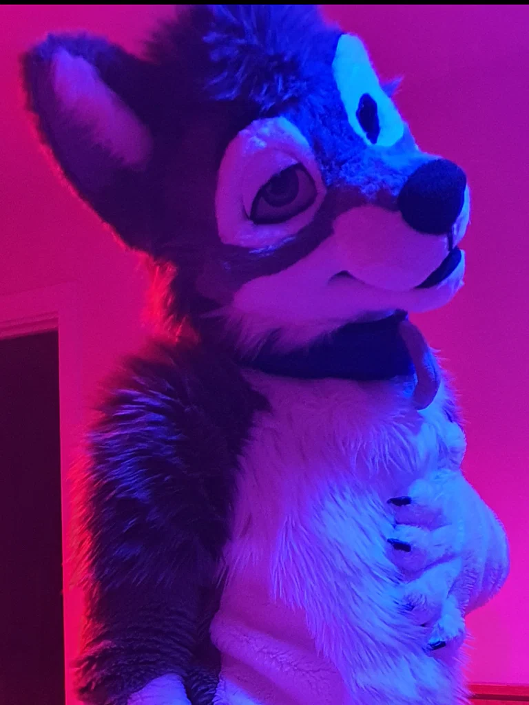 Kiba's avatar