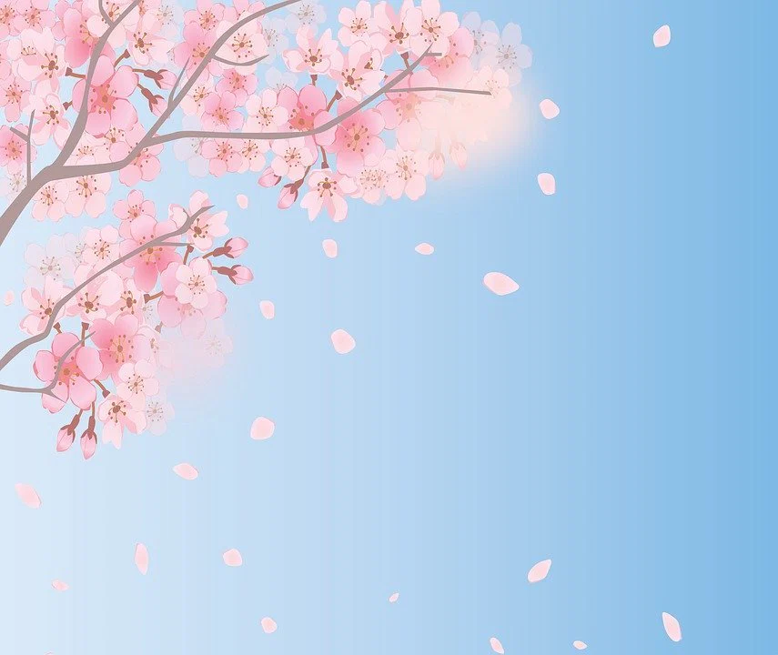 Jane Christine profile banner
