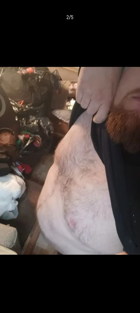 Bear cub profile banner