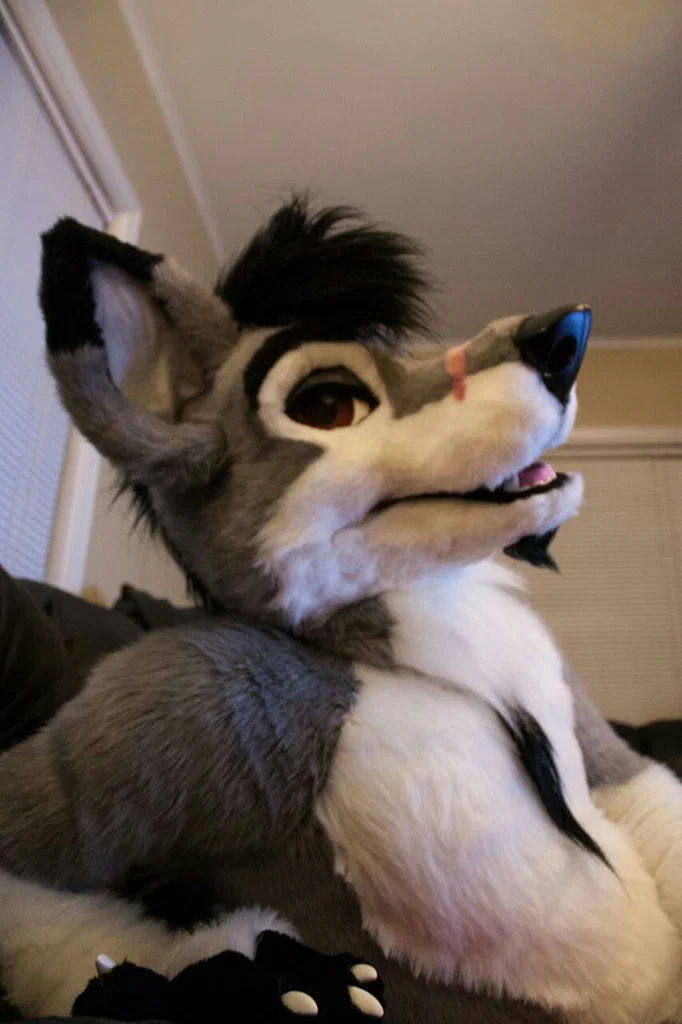 HavocStallion's avatar