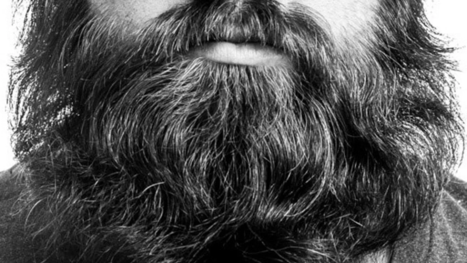 SexyBeardeddwarfSFt profile banner