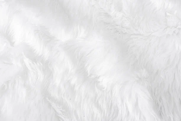 snowangeltoes profile banner