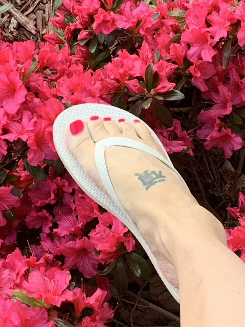 Barefoot Baily profile banner