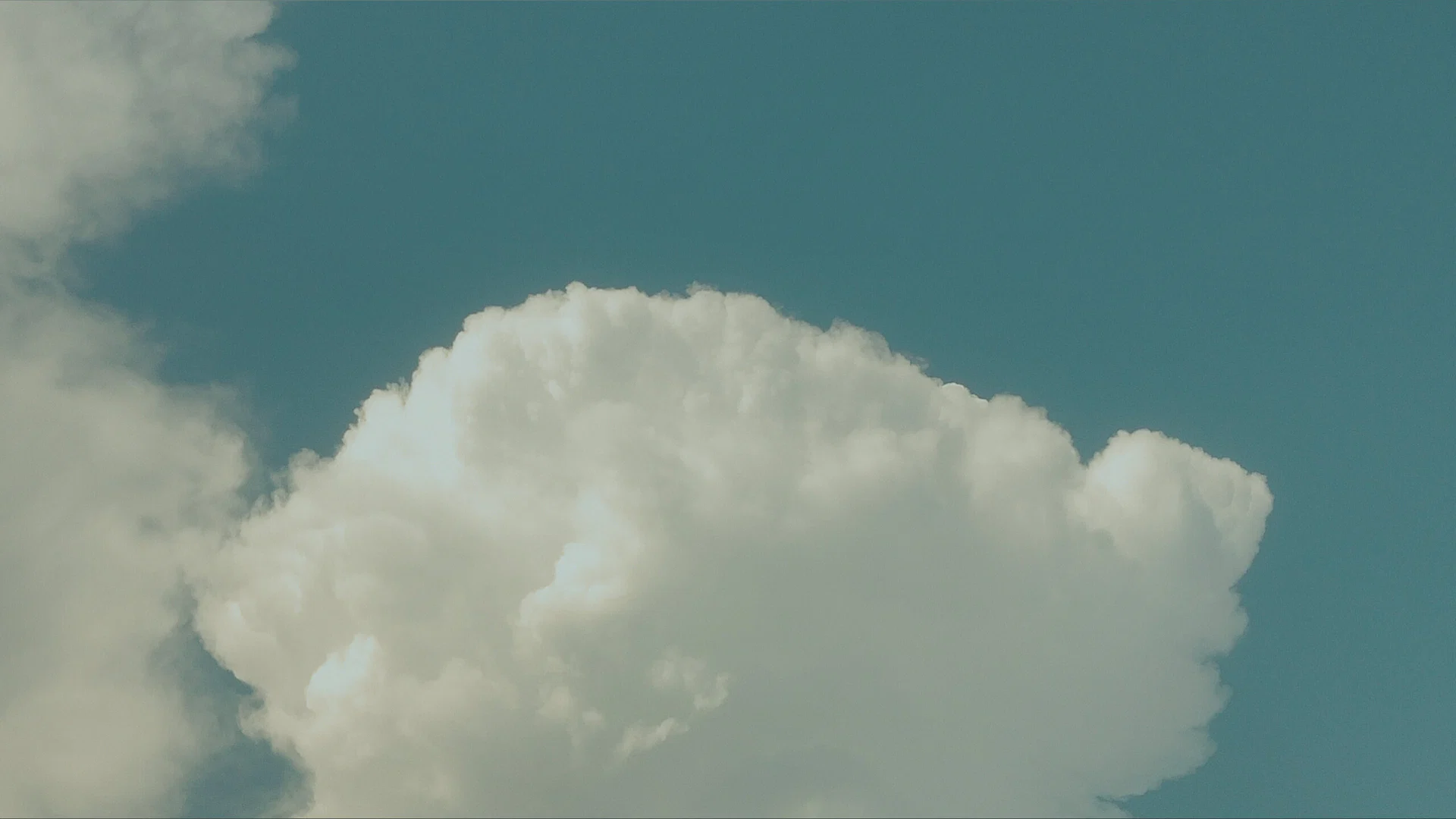 Nora profile banner