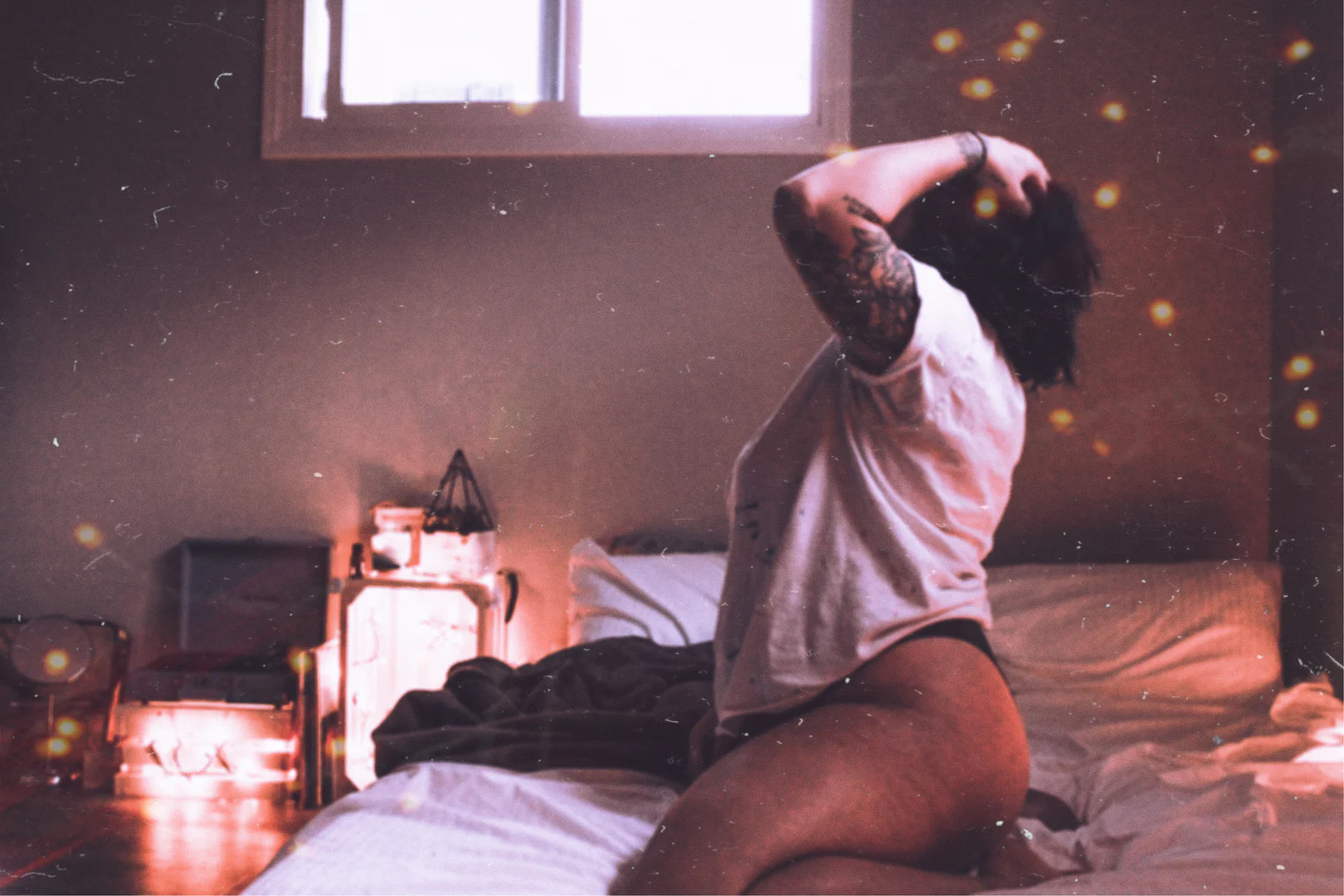Frankie profile banner