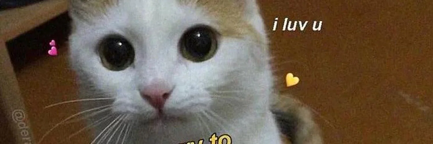 soybad. profile banner