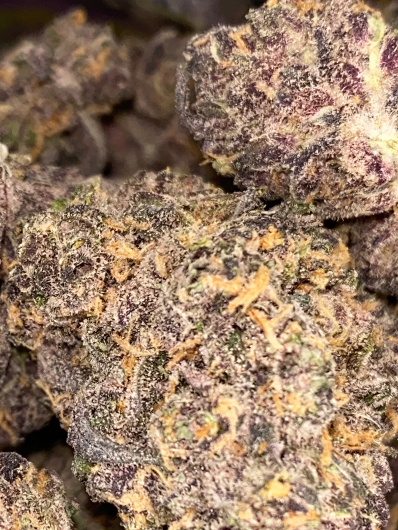 Top Shelf Freak🍃🤪 profile banner