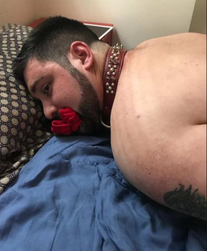 Andy Bear profile banner