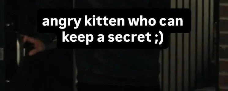 Kitty π profile banner
