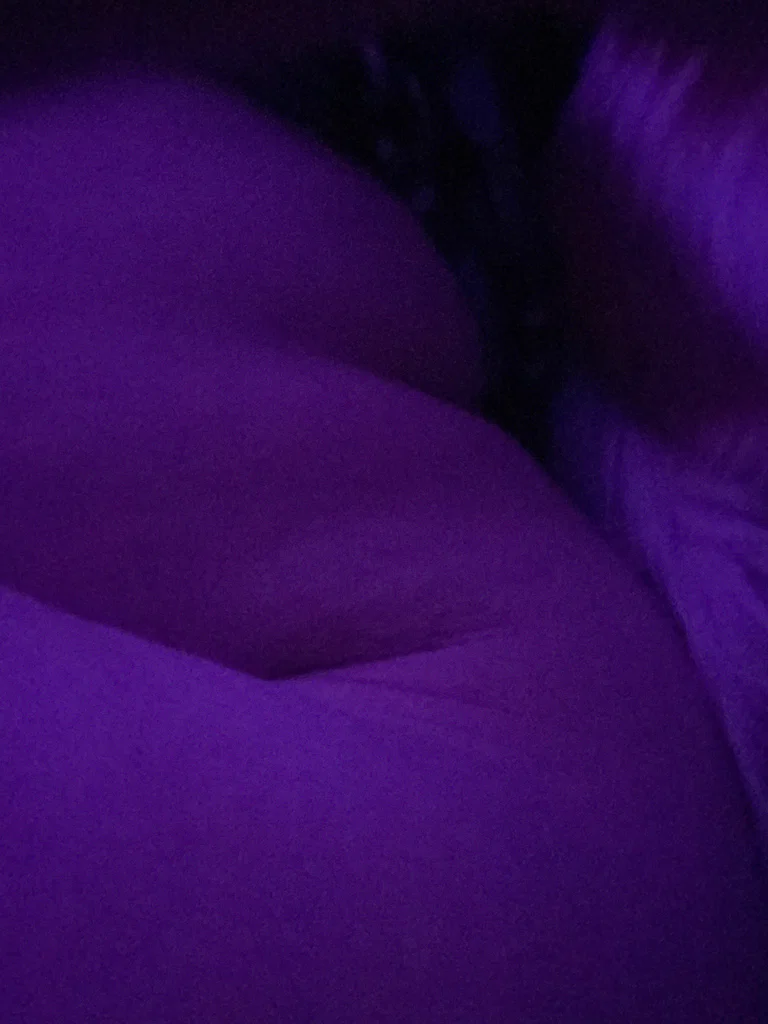 Dreamywonderlust