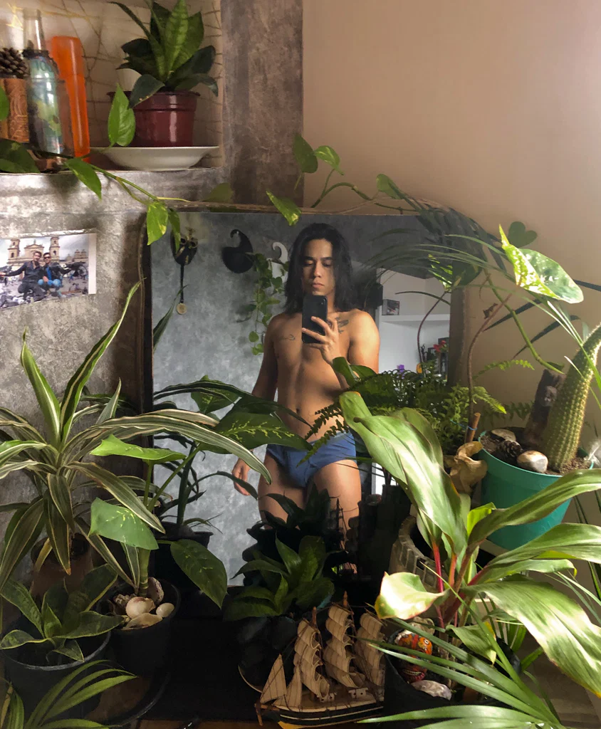 Wildplantx's avatar