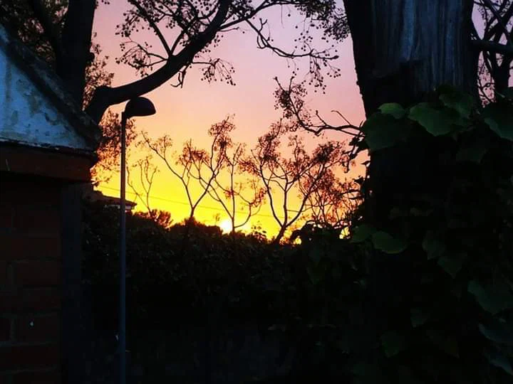 Jordick profile banner