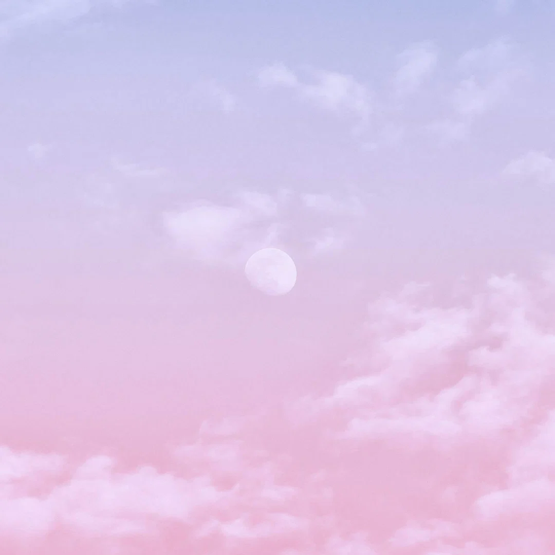 Miss Daygo profile banner