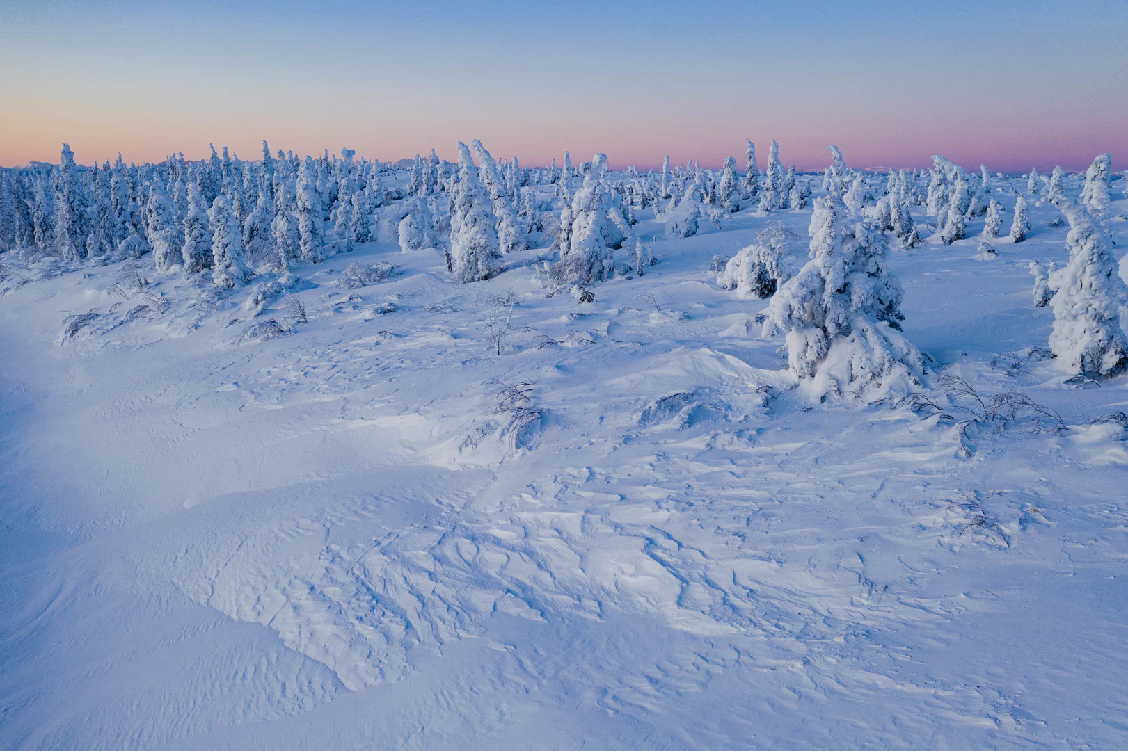Big Thick Alaskan Man profile banner