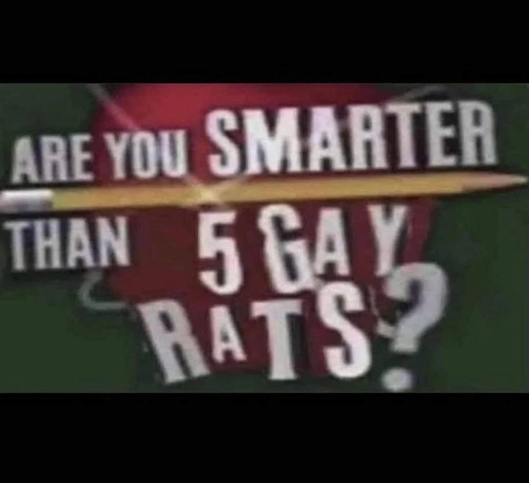Rat profile banner