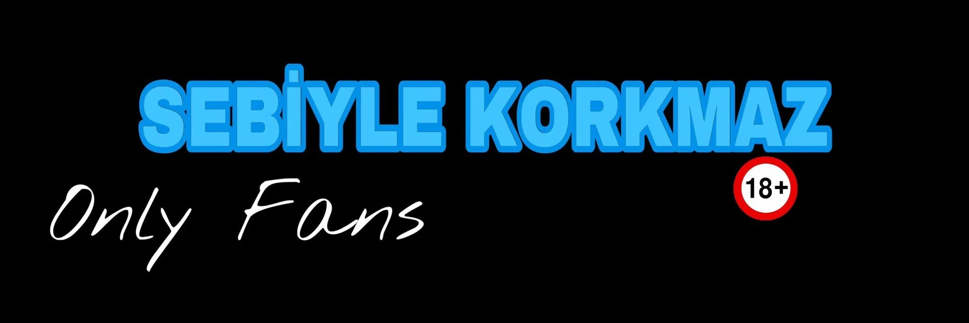SEBİYLE profile banner