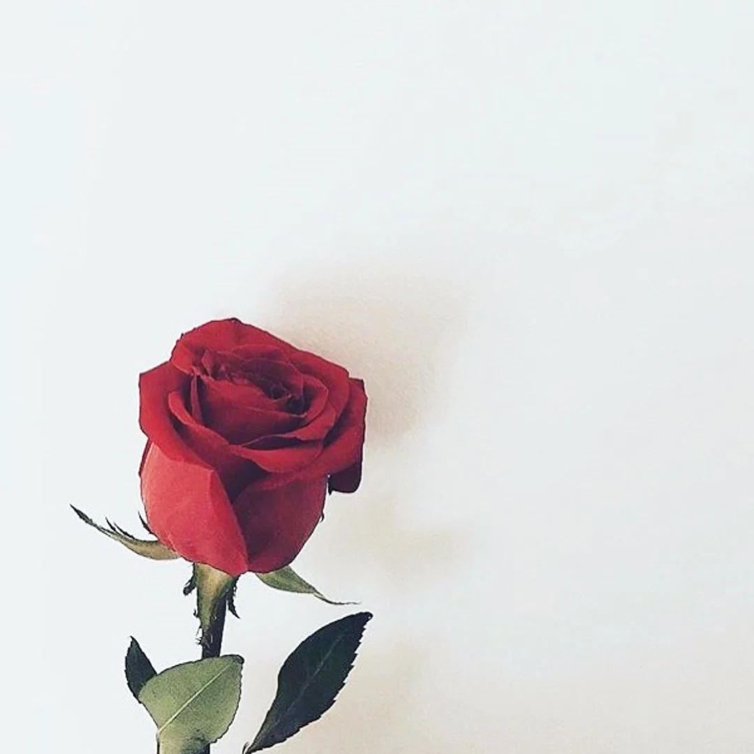 hospital bae π©πΎβπ¦Όπ profile banner