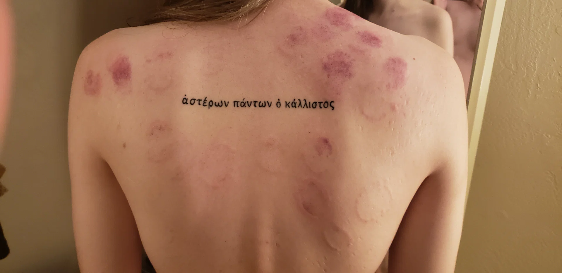Sappho Sinew profile banner