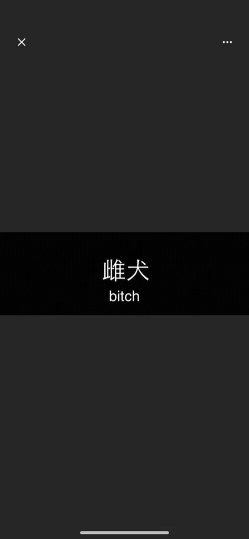 Kitty profile banner