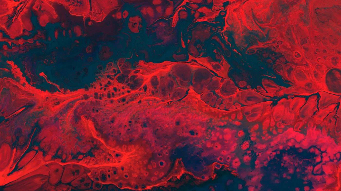 Master Flako profile banner