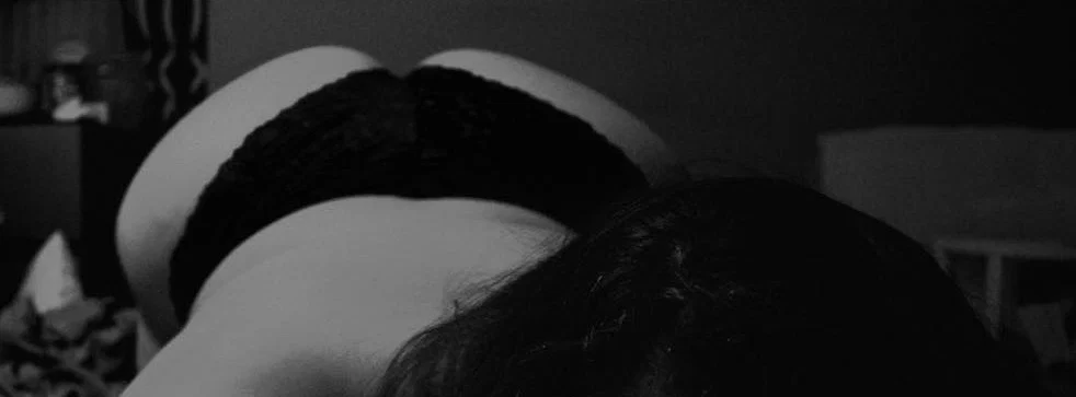 LivnTrippy profile banner