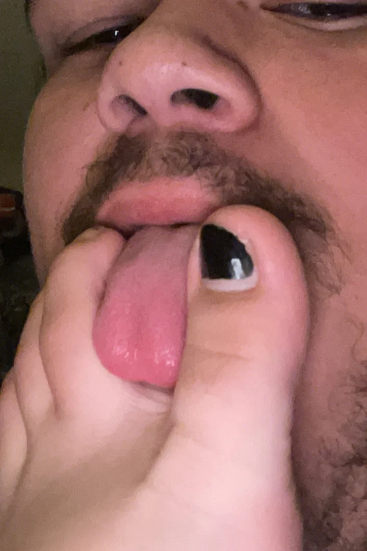 si si π profile banner