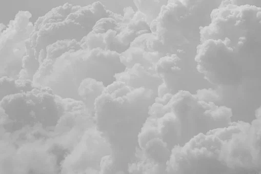 Connor Wood profile banner