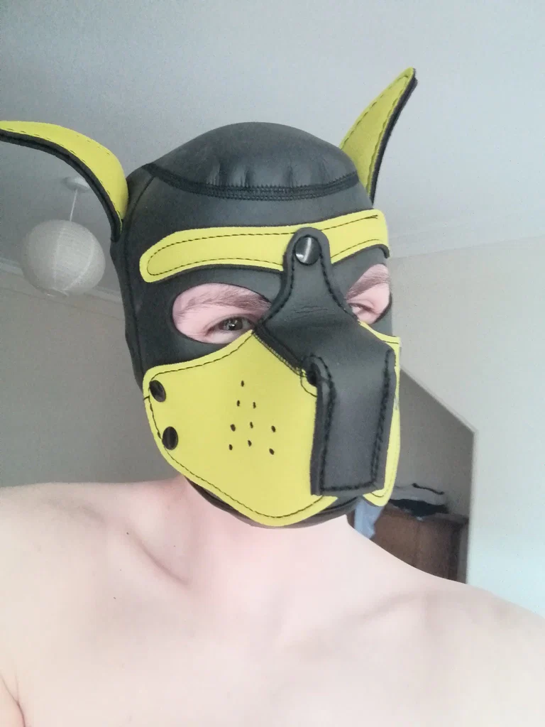 PupNoobie's avatar