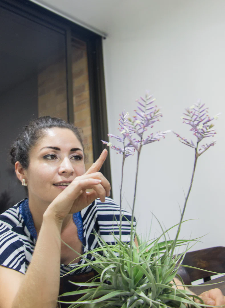 MilaDiosa profile banner